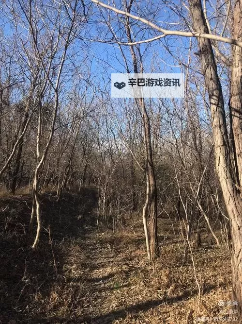 《星空》9月13日更新介绍 1.7.29版本更新一览图1