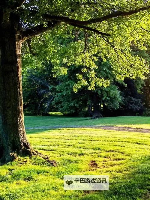 日本一级PPT怎么做免费模板:实用教程与免费资源推荐图1