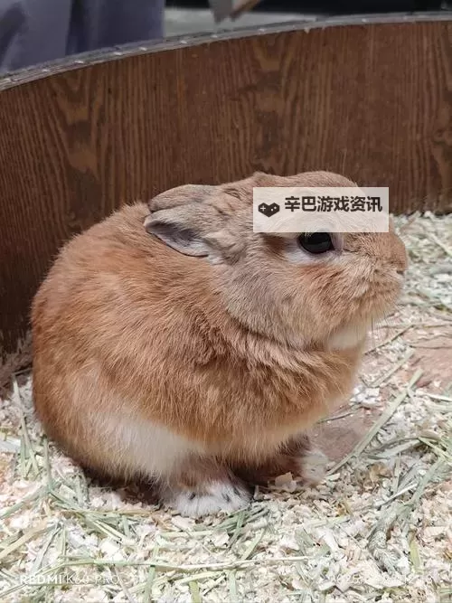 日韩丝足精品:极致诱惑的视觉盛宴图1