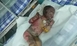 《浴室的少女20天：隐秘的心灵守望》