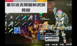 《塞尔达传说王国之泪》武器复制BUG操作教程 怎么复制武器