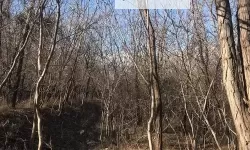 《星空》9月13日更新介绍 1.7.29版本更新一览