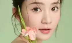 韩国美女大片免费观看www：高清精彩内容尽在掌握