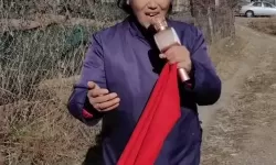 中国bgmbgmbgm老太太70在线：温馨岁月里的智慧与风采