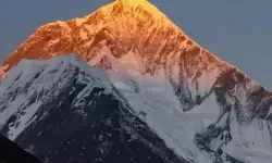 犀利仁师电脑版下载 横向测评：电脑玩犀利仁师模拟器推荐