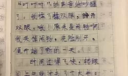 坐在紫到发黑的木棒上写作业的奇妙时光