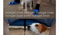 《总而言之第一季：精彩纷呈的故事回顾与深度解析》