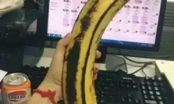 大香蕉成：激情与创造力的完美融合