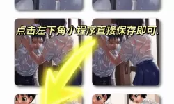 雨后的故事：洗净尘埃的温柔瞬间