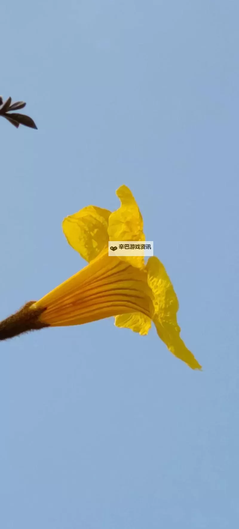 热门rogue动作游戏盘点 热门rogue动作游戏有哪些图1