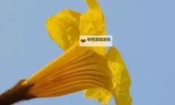 热门rogue动作游戏盘点 热门rogue动作游戏有哪些