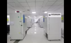 国产最新一区A：全面解析最新热门优质资源布局