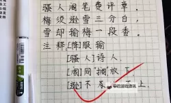 做一道题插一支笔怎么写：正确书写技巧详解