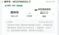 如何快速便捷进行邮政包裹单号查询指南