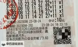 2024年最全指南：长期守号最佳5注精选推荐