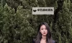 御姐很哀伤：天涯迷离的孤独与坚强