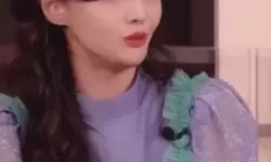 郑爽直播回放全程：详细回顾精彩瞬间与亮点分析