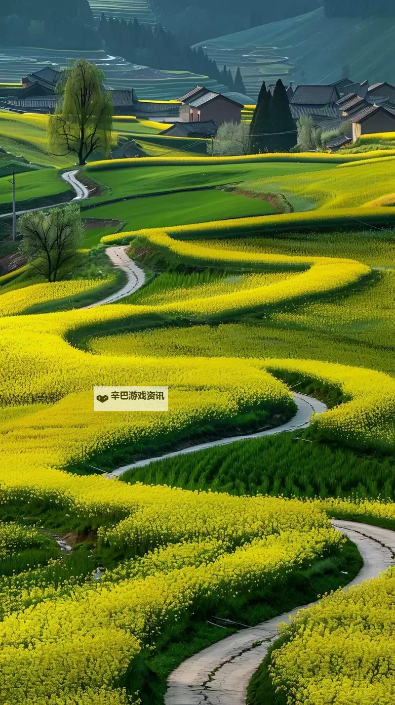 天之谕怎么双开  天之谕双开挂机软件推荐图1