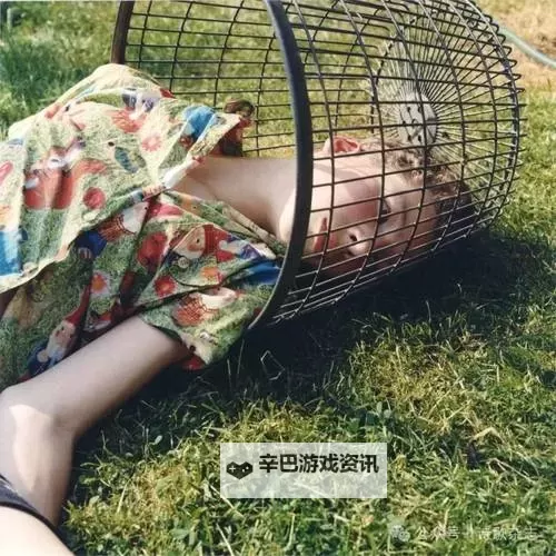 中国18XXXXHDvideo：高清视界下的精彩内容探索图1