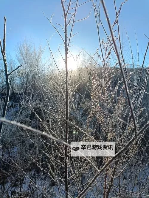 《骑马与砍杀2》1.3版锻造入门指南 基本原理、技能升级与赚钱讲解图1