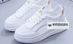 探索创意无限的世界：桔色网带你领略视觉盛宴