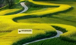 天之谕怎么双开  天之谕双开挂机软件推荐