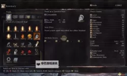 《黑暗之魂3》按键刷魂BUG用法详解 刷魂BUG怎么用