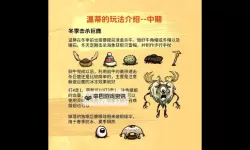 《饥荒》温迪教学向玩法生存图文攻略 温迪怎么玩