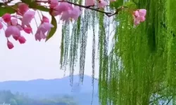 正春风by山景王四：万物复苏的温柔旋律