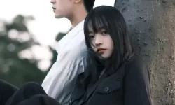 人人爱人人艹：打造和谐共生的美丽生活