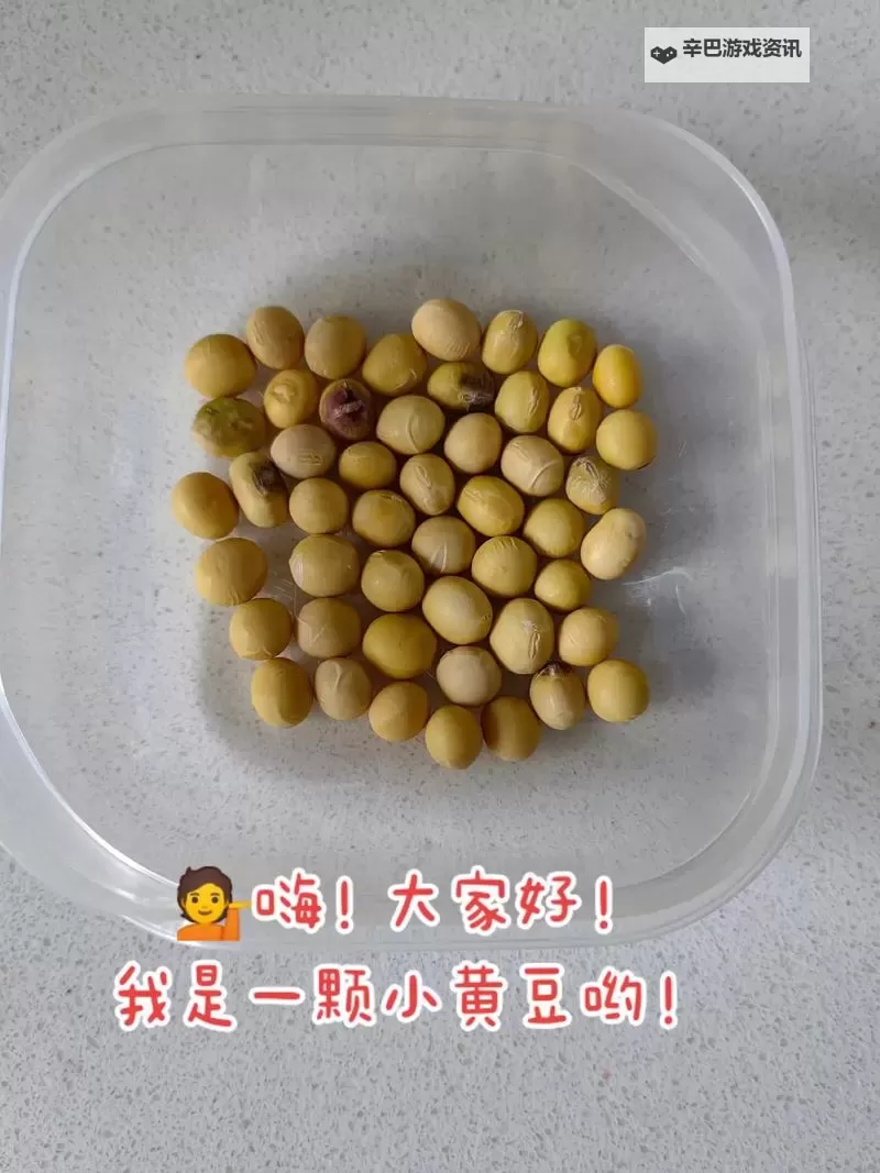 如何轻松玩转自己的小豆子图片技巧指南图1