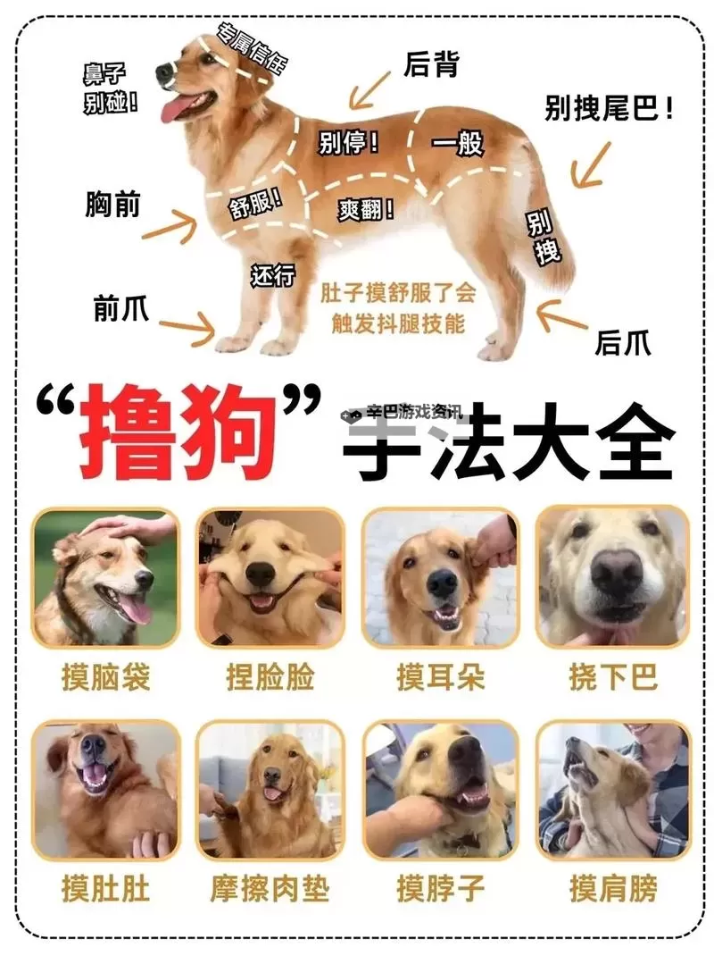 动物涨姿势电脑版下载 动物涨姿势电脑版的安装使用方法图1