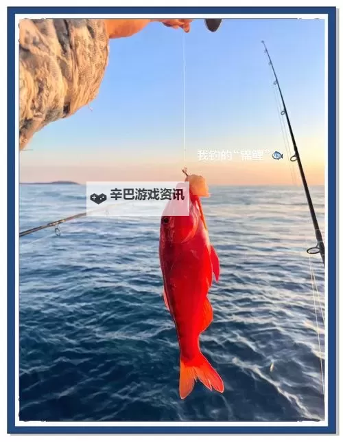 探索珠海钓鱼网：打造理想钓鱼体验的最佳平台图1