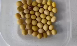 如何轻松玩转自己的小豆子图片技巧指南