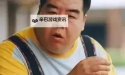 台湾肥佬网站影视大全：全面收录最新热门影视资源指南