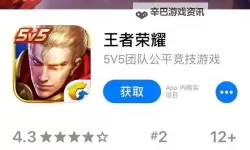 荣耀军团挂机软件&双开软件推荐  轻松搞定荣耀军团双开和挂机