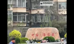 守护绿色家园：中国家园网携手公众共建美丽中国