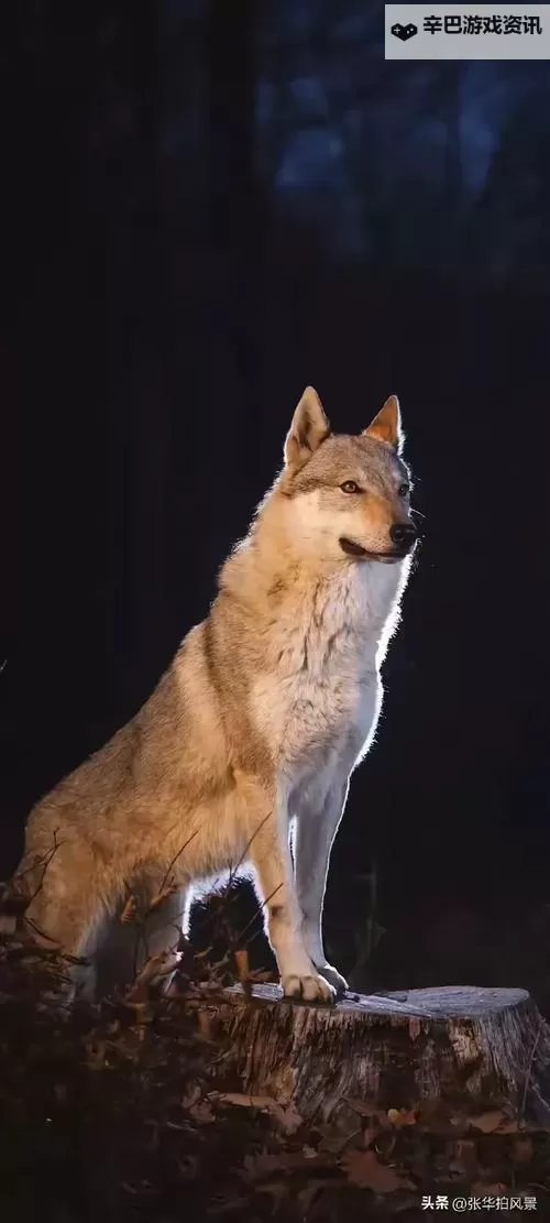 2015小明加密免费体验：安全又实惠的加密工具推荐图1