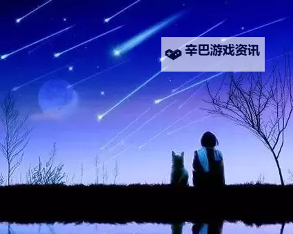 《回忆中的璀璨：我的最后一次看流星雨》图1