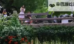 老师下面日出水：隐藏的秘密揭秘