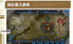 《怪物猎人荒野》绯红森林骨冢位置及收集路线推荐 森林骨冢在哪