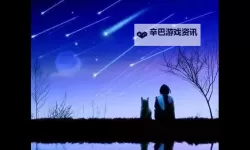《回忆中的璀璨：我的最后一次看流星雨》