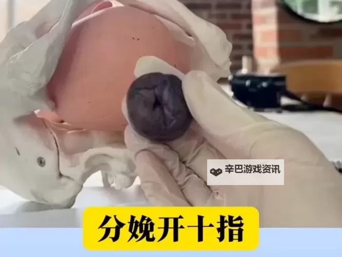 真实记录:孕妇分娩视频过程详解与温馨瞬间图1