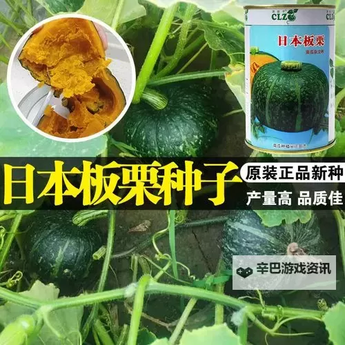 探索优质种子日本资源：助您绿色繁荣的最佳选择图1
