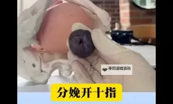 真实记录：孕妇分娩视频过程详解与温馨瞬间
