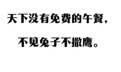 永远免费的奇迹：开启无限可能的美好未来