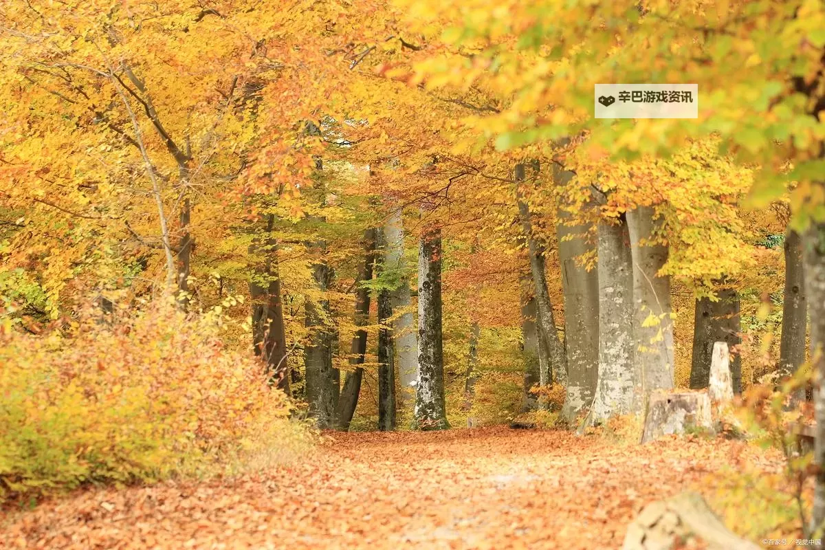 《幻想生活i转圈圈的龙和偷取时间的少女》无限刷黑暗素材方法图1