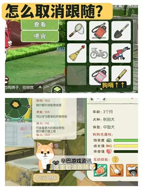 小森生活稀有狗怎么获取？  小森生活稀有伙伴兑换方法！图1