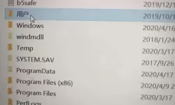 正当防卫4怎么调中文：详细操作指南与设置方法