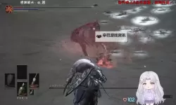 《黑暗之魂3》应对持盾敌人技巧解析 怎么应对持盾敌人